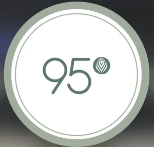 95°